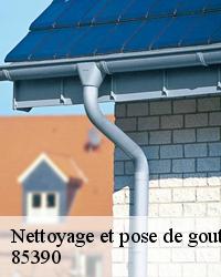 Nettoyage et pose de gouttière à Bazoges En Pareds