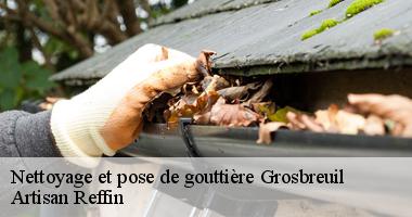 Nettoyage et pose de gouttière à Grosbreuil