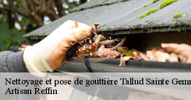 Nettoyage de gouttière à Tallud Sainte Gemme par Artisan Reffin