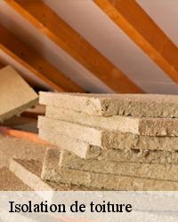Artisan Reffin : Quel sont les matériaux utilisés pour l’isolation de la toiture ?