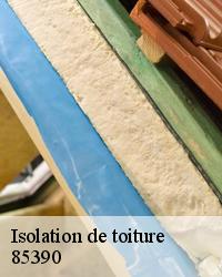 Artisan Reffin : Quel sont les matériaux utilisés pour l’isolation de la toiture ?