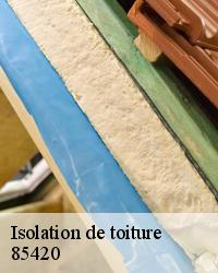 Isolation de comble laine de verre 85420